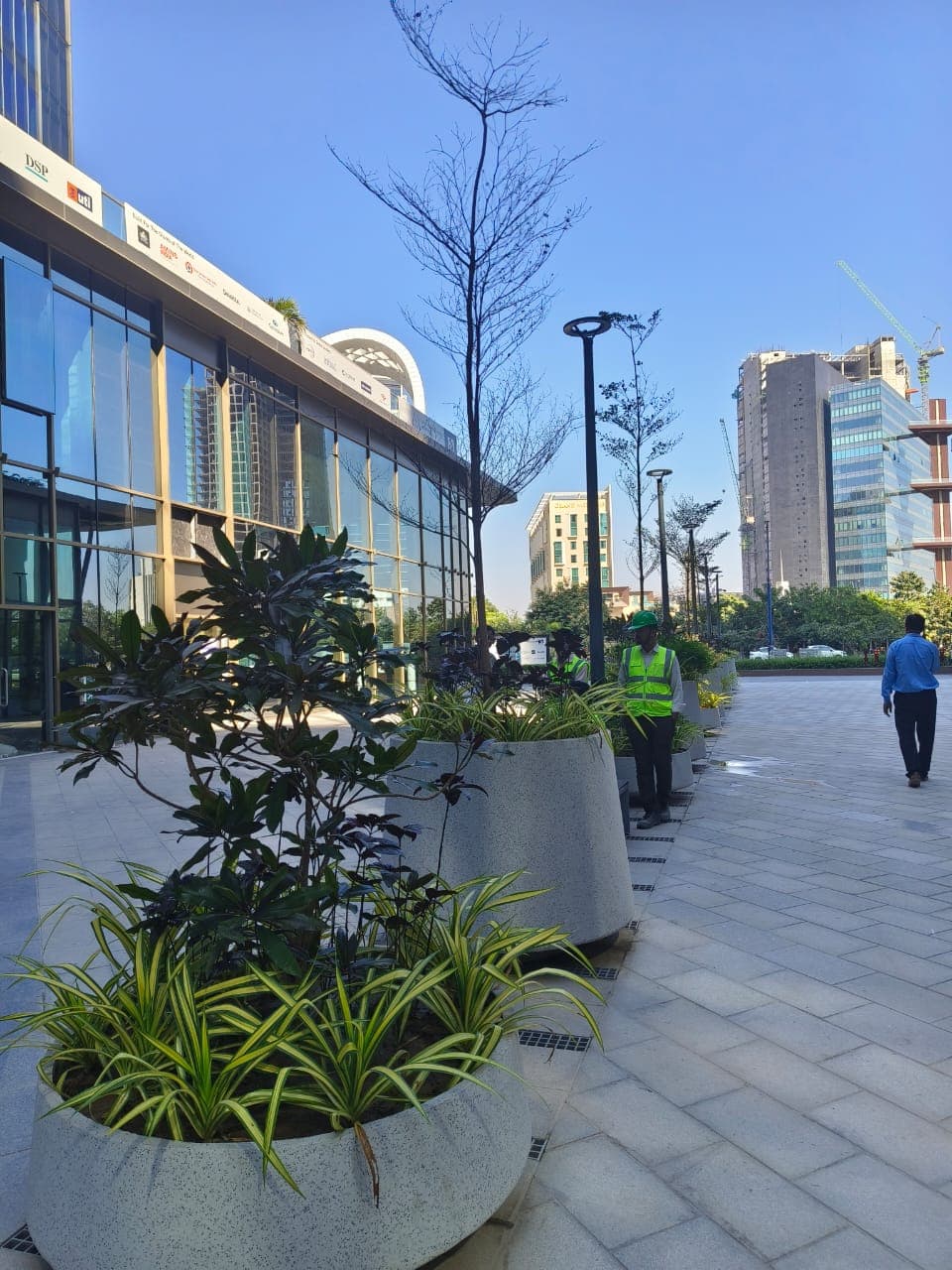 Gift City Office Landscaping 1