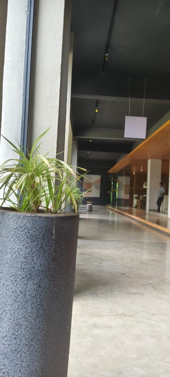 Skaps Industries Landscaping 1